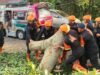 Pohon Tumbang Tutup Akses Jalan, Brimob Sumut Bergerak Cepat Bantu Warga Pematangsiantar