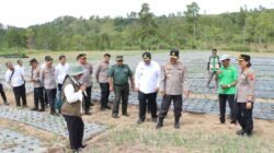 Bupati Samosir & Kapolda Sumut Tinjau Lahan Bawang Putih Simanindo