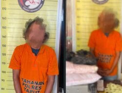 Satres Narkoba Polres Taput Gagalkan Pengiriman Sabu 8,4 Kg ke Kalimantan
