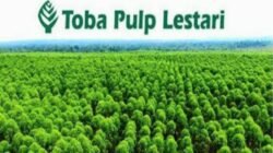 Terkait Dugaan Korupsi Transfer Pricing Toba Pulp Lestari Buka Suara 