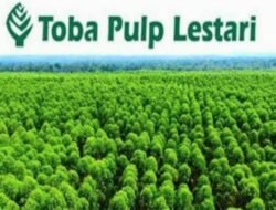 Terkait Dugaan Korupsi Transfer Pricing Toba Pulp Lestari Buka Suara 