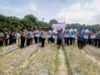 Panen 36 Ton! Kelompok Tani Palipi Raup Rp648 Juta dari Bawang Merah Kolaborasi Sumut Berkah