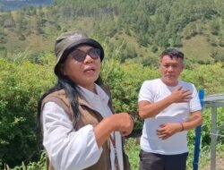 Tinjau PATS 10 Ha di Aek Sipitudai, Pantas Limbong: Bukti Nyata Lobby Bupati dan Kerja Lapangan Kadis Pertanian