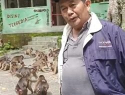 PMPHI Sumut : Bodoh Kita Ikut Membicarakan LAPAS Cibinong Temuan Ombusmand