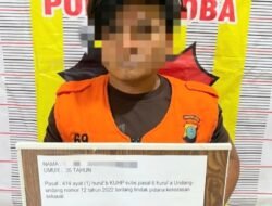 Cabuli Anak Dibawah Umur, Pria Asal Labura Ditangkap Unit PPA Polres Toba
