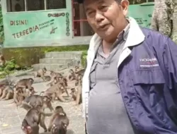 PMPHI Sumut : Tangkap dan Adili Jaksa Sabrul Iman Penerima Suap