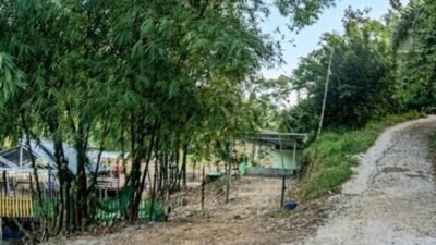 APH Diminta Turun Tangan Adanya Dugaan Bandar Narkoba Kp Tempel Perdagangan