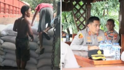 Kapolres Binjai Perkuat Ketahanan Pangan, Serapan Jagung Tembus 326,2 Ton