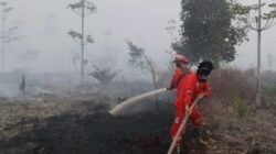 BMKG : 1.297 Titik Panas di Indonesia Sumatera Terbanyak 505 Titik