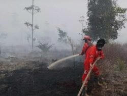 BMKG : 1.297 Titik Panas di Indonesia Sumatera Terbanyak 505 Titik