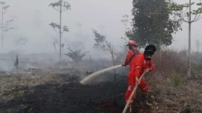 BMKG : 1.297 Titik Panas di Indonesia Sumatera Terbanyak 505 Titik